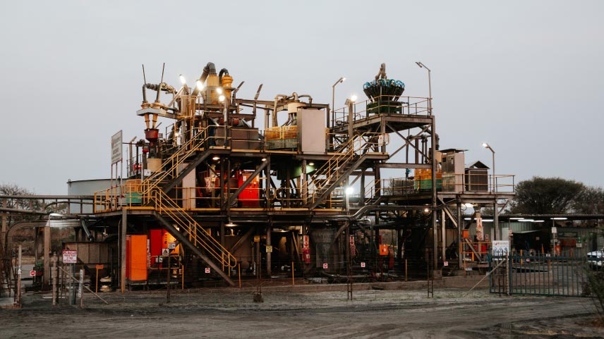Mooinooi Plant